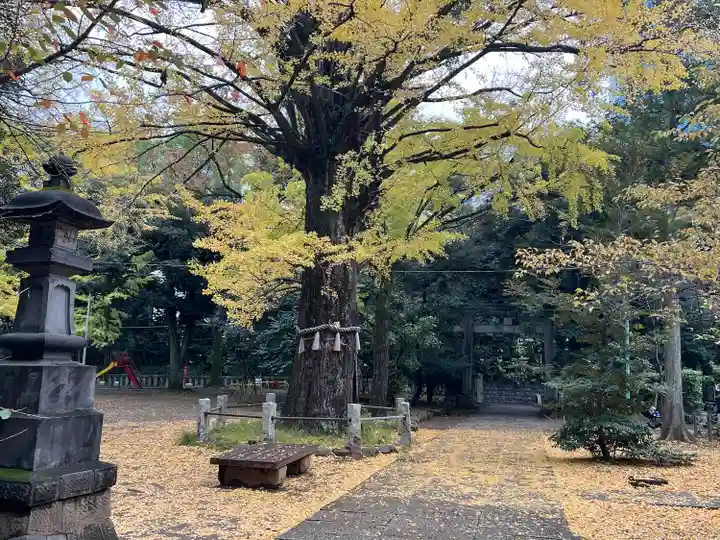 赤坂氷川神社(東京都)