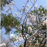 彌彦神社 (伊夜日子神社)の自然