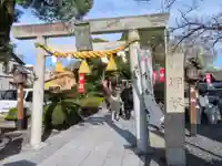 伊奴神社の鳥居