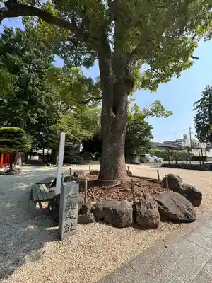 久居八幡宮（野邊野神社）(三重県)