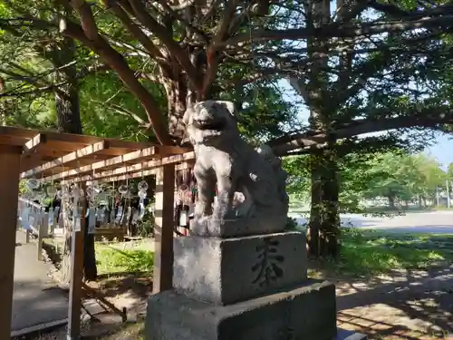 亀田八幡宮の狛犬