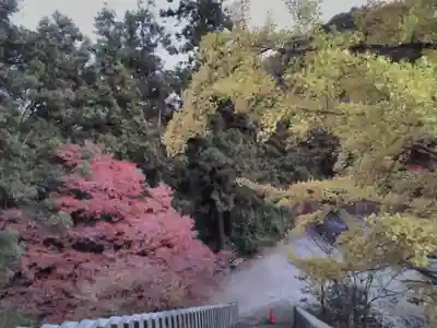 松尾山神社の自然