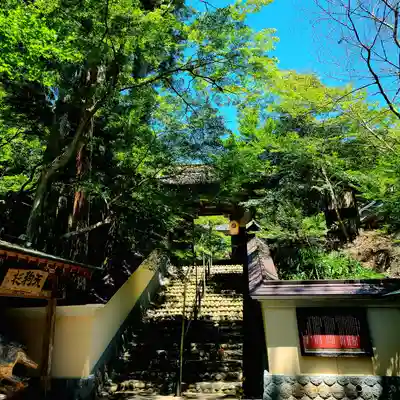目の霊山　油山寺(静岡県)