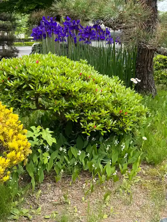 開成山大神宮(福島県)