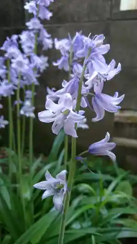 阿邪訶根神社の自然