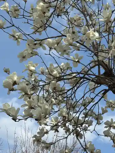 松源寺(群馬県)