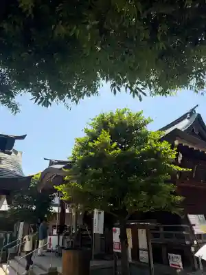 鳩森八幡神社の{uncategorized: "未分類", other: "その他", undefined: "問題あり", building: "その他建物", grave: "お墓", sacred_gate: "鳥居", guardian: "狛犬", statue: "像", buddha: "仏像", history: "歴史", nature: "自然", garden: "庭園", animal: "動物", pagoda: "塔", temizu: "手水舎", mountain_gate: "山門・神門", sanctuary: "本殿・本堂", subordinate: "末社・摂社", art: "芸術", scenery: "景色", jizo: "地蔵", ema: "絵馬", goshuin: "御朱印", omikuji: "おみくじ", items: "授与品その他", amulet: "お守り", goshuincho: "御朱印帳", eats: "食事", festival: "お祭り", votive_dance: "神楽", shichigosan: "七五三参", wedding: "結婚式", experience: "体験その他", initially: "初詣", around: "周辺", anti_infection: "感染症対策"}