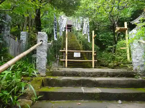 杉本寺の自然