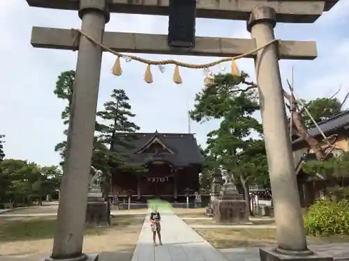 三条八幡宮の鳥居