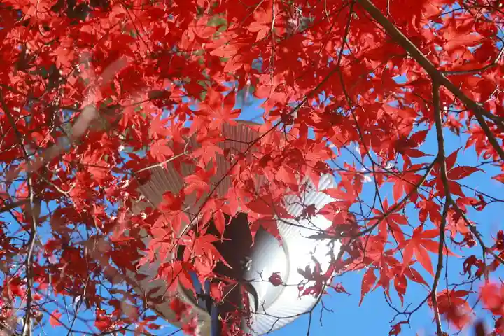 滑川神社 - 仕事と子どもの守り神の自然