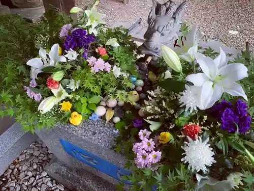 滑川神社 - 仕事と子どもの守り神の手水