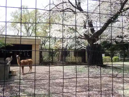 了源寺(神奈川県)