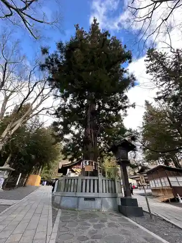 諏訪大社下社秋宮(長野県)