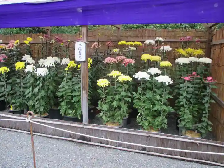 御寺 泉涌寺(京都府)