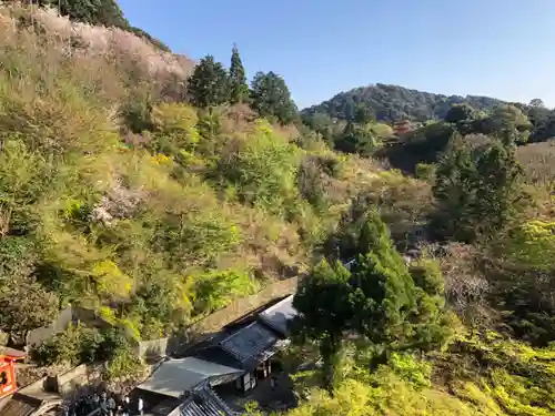 清水寺の景色