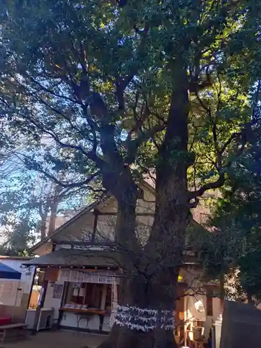 上目黒氷川神社(東京都)
