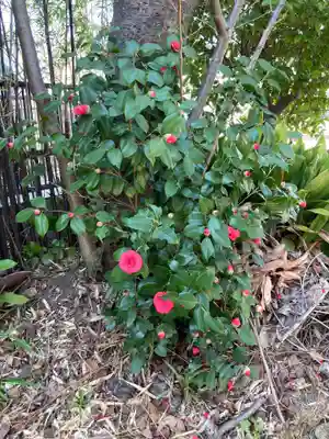 厳島神社(神奈川県)