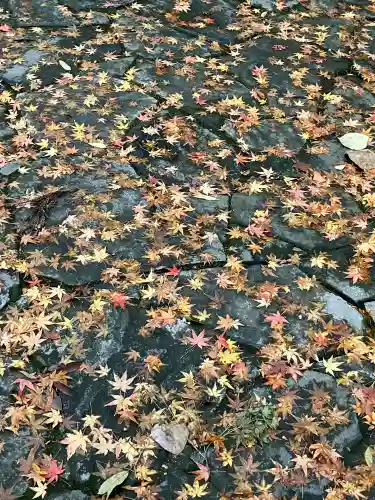 宇佐神宮(大分県)