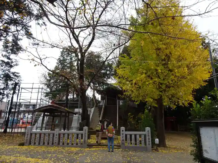 岩槻愛宕神社のその他建物