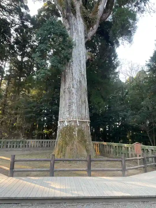 霧島神宮の{uncategorized: "未分類", other: "その他", undefined: "問題あり", building: "その他建物", grave: "お墓", sacred_gate: "鳥居", guardian: "狛犬", statue: "像", buddha: "仏像", history: "歴史", nature: "自然", garden: "庭園", animal: "動物", pagoda: "塔", temizu: "手水舎", mountain_gate: "山門・神門", sanctuary: "本殿・本堂", subordinate: "末社・摂社", art: "芸術", scenery: "景色", jizo: "地蔵", ema: "絵馬", goshuin: "御朱印", omikuji: "おみくじ", items: "授与品その他", amulet: "お守り", goshuincho: "御朱印帳", eats: "食事", festival: "お祭り", votive_dance: "神楽", shichigosan: "七五三参", wedding: "結婚式", experience: "体験その他", initially: "初詣", around: "周辺", anti_infection: "感染症対策"}