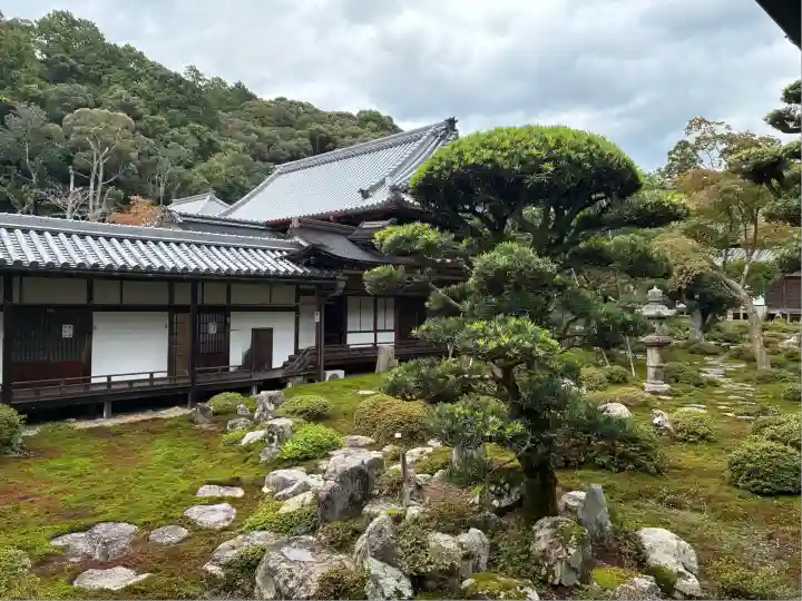 金剛寺(大阪府)
