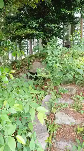 北野神社の自然