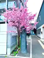 矢先神社(宮城県)