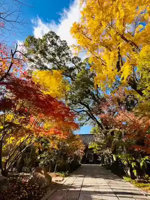 鳥飼八幡宮(福岡県)