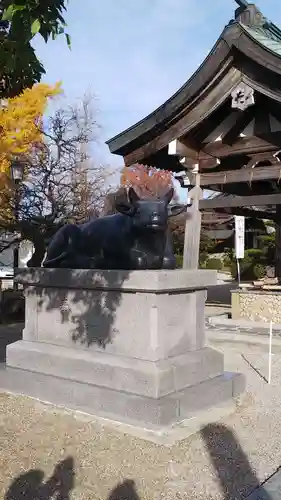 岡崎天満宮の狛犬