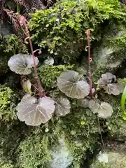 施福寺(大阪府)