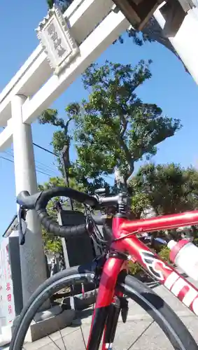 菊田神社(千葉県)