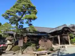 豪徳寺の庭園