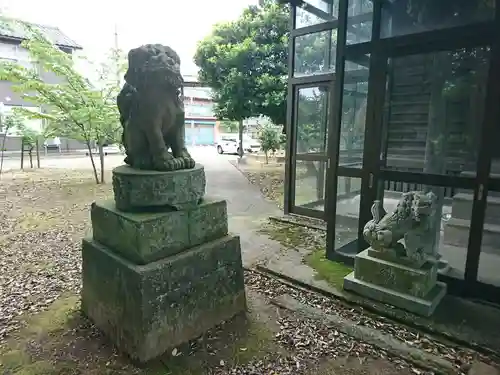 龍宮神社の狛犬