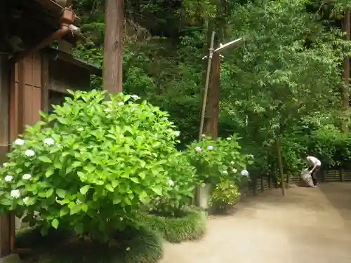 御霊神社の庭園