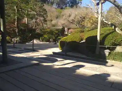 明月院(神奈川県)