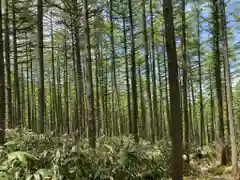 恵那神社　本社(岐阜県)