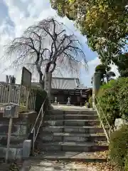 幸延寺(神奈川県)