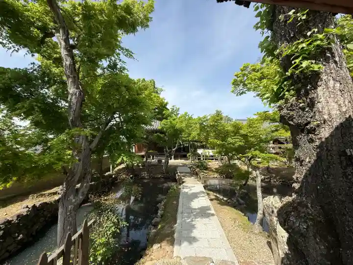 新薬師寺の{uncategorized: "未分類", other: "その他", undefined: "問題あり", building: "その他建物", grave: "お墓", sacred_gate: "鳥居", guardian: "狛犬", statue: "像", buddha: "仏像", history: "歴史", nature: "自然", garden: "庭園", animal: "動物", pagoda: "塔", temizu: "手水舎", mountain_gate: "山門・神門", sanctuary: "本殿・本堂", subordinate: "末社・摂社", art: "芸術", scenery: "景色", jizo: "地蔵", ema: "絵馬", goshuin: "御朱印", omikuji: "おみくじ", items: "授与品その他", amulet: "お守り", goshuincho: "御朱印帳", eats: "食事", festival: "お祭り", votive_dance: "神楽", shichigosan: "七五三参", wedding: "結婚式", experience: "体験その他", initially: "初詣", around: "周辺", anti_infection: "感染症対策"}