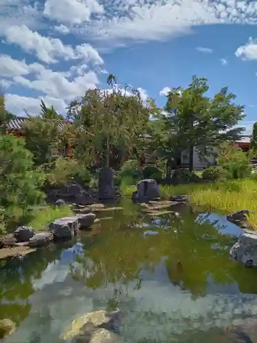 蓮華王院（三十三間堂）(京都府)