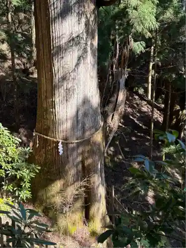 玉置神社(奈良県)