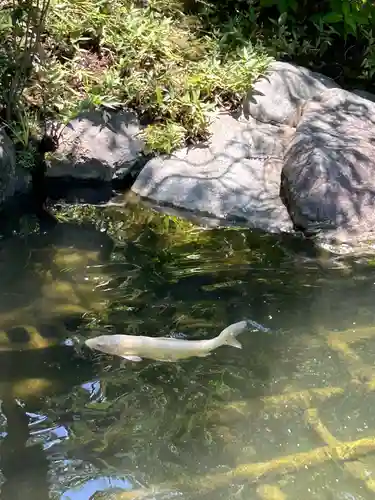 西新井大師総持寺(東京都)