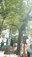 若一神社の{uncategorized: "未分類", other: "その他", undefined: "問題あり", building: "その他建物", grave: "お墓", sacred_gate: "鳥居", guardian: "狛犬", statue: "像", buddha: "仏像", history: "歴史", nature: "自然", garden: "庭園", animal: "動物", pagoda: "塔", temizu: "手水舎", mountain_gate: "山門・神門", sanctuary: "本殿・本堂", subordinate: "末社・摂社", art: "芸術", scenery: "景色", jizo: "地蔵", ema: "絵馬", goshuin: "御朱印", omikuji: "おみくじ", items: "授与品その他", amulet: "お守り", goshuincho: "御朱印帳", eats: "食事", festival: "お祭り", votive_dance: "神楽", shichigosan: "七五三参", wedding: "結婚式", experience: "体験その他", initially: "初詣", around: "周辺", anti_infection: "感染症対策"}