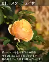 宝光寺(北海道)