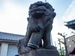 大戸神社の狛犬