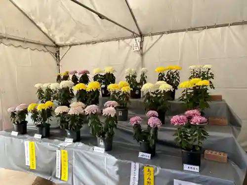 穂高神社本宮(長野県)