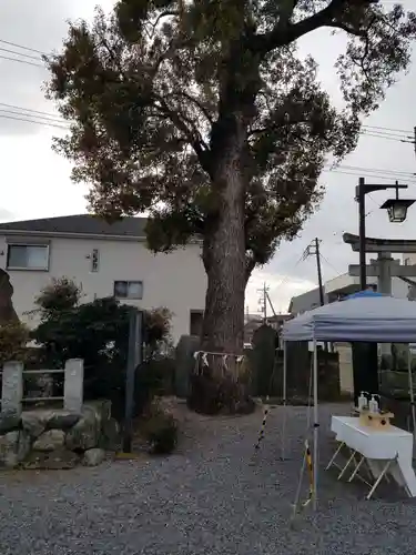 菖蒲神社の自然