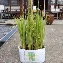 七重浜海津見神社(北海道)