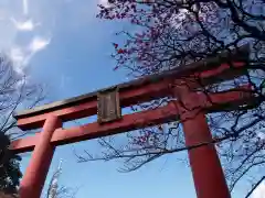 亀戸天神社の鳥居