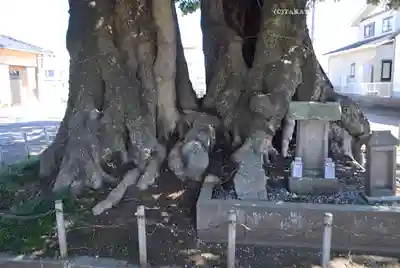 高麗川神社(埼玉県)