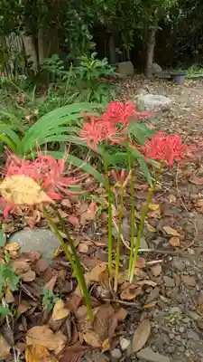 平野神社(京都府)